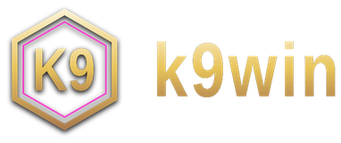k9win logo